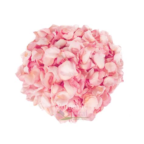Rose Petals Light Pink 200 Gram Bag Potomac Floral Wholesale