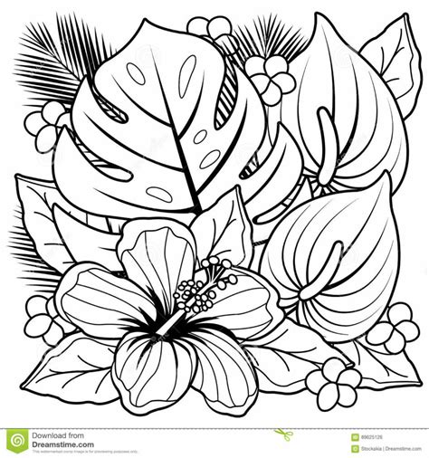 Coloriage fleurs exotiques  pivoine etc