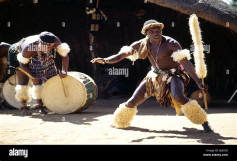zulu dancer wedding ceremony in valley of a thousand hills kwazulu natal south africa rsa stock