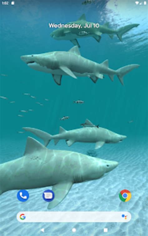 Sharks 3d Live Wallpaper For Android Download