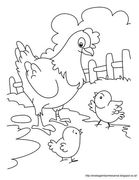 Mewarnai gambar ayam jago gambar hewan warna kartun. Gambar Mewarnai Ayam Untuk Anak PAUD dan TK