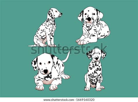 Vector Illustration Dog Dalmatian Stock Vector Royalty Free