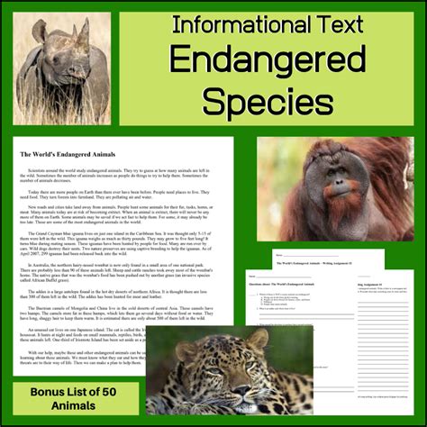 Endangered Animals With Pictures And Information