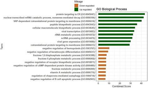 We identified 1091 differential expression genes (degs). Gene expression profiles and pathway enrichment analysis ...