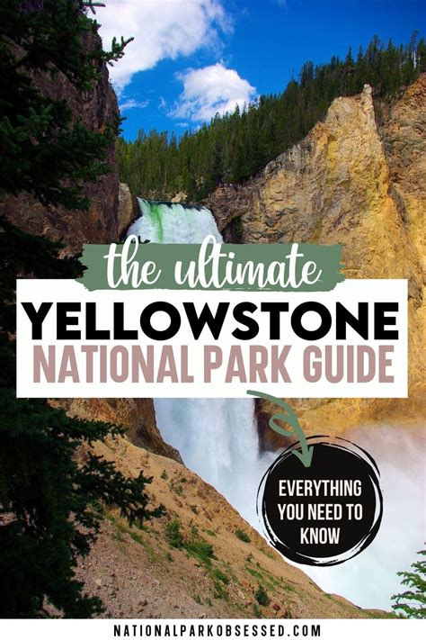 Visiting Yellowstone National Park The Complete Guide National Park