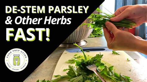How To Strip Herbs Fast Youtube