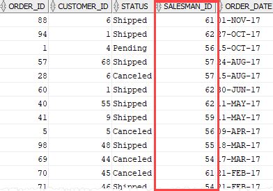 Oracle IS NULL  IS NOT NULL for Checking If a Value is NULL or NOT