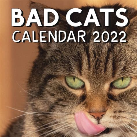 Buy Bad Cat 2022 October 2021 December 2022 Monthly Mini Planner