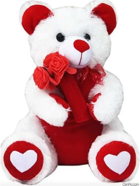 Your teddy bear stock images are ready. Top 35 Cute Teddy Bear Images With Love For Whatsapp Dp ...