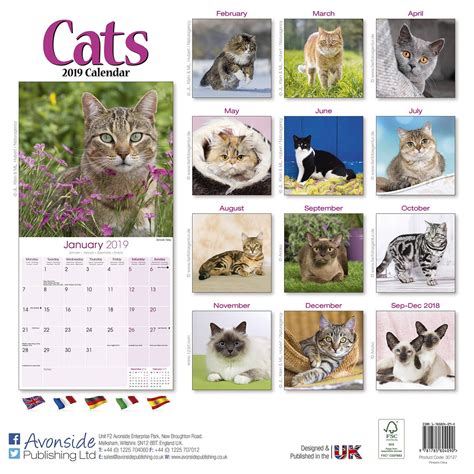 Cats Calendar 2019 Pet Prints Inc