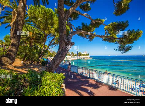 Beach Promenade In The Beaulieu Sur Mer Village With Palm Trees Pine