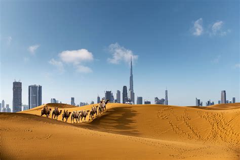 10 Tips For The Perfect Desert Safari Dubai