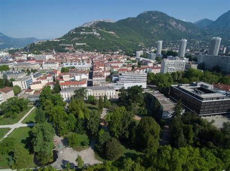 Larbre En Ville à Grenoble Un équilibre à Préserver Nature Isère