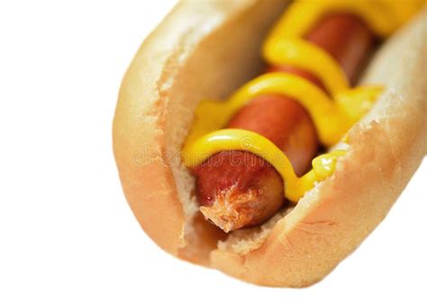Hot Dog With Mustard Stock Image Image Of Food Takeaway 179449987