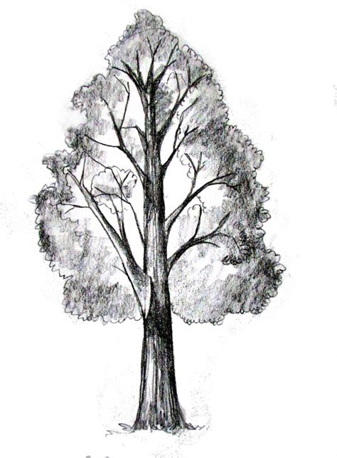 Cool Things To Draw Tree Ideas Johnson Coursentand