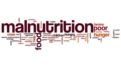 Types De Malnutrition Pdf
