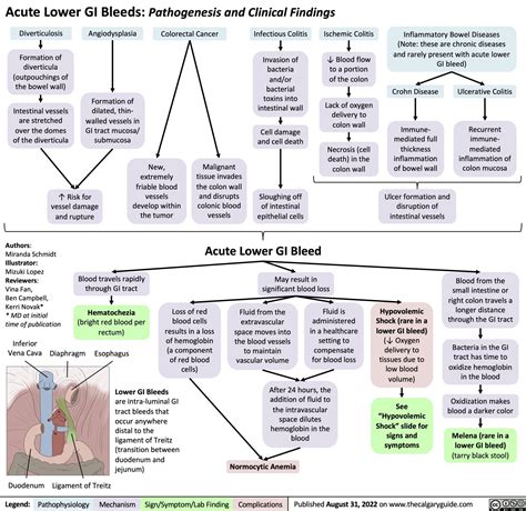 Acute Lower Gi Bleeds Pathogenesis And Clinical Findings Calgary Guide