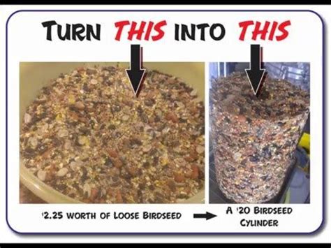 Empty 1 package of unflavored gelatin into a bowl with 2 tablespoons of cold water. DIY Make Your Own Homemade Birdseed Blocks or Cylinders ...