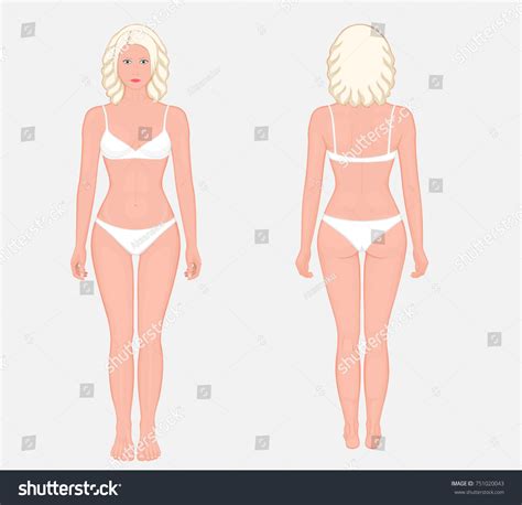 Posterior Frontal Anterior Back Views Naked Stock Vector Royalty Free Shutterstock