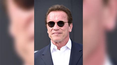 Arnold Schwarzenegger Sunglasses From The Terminator To Kindergarten Cop