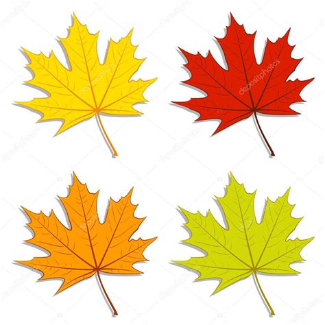 Maple Leaves Stock Vector Image By ©benjaminlion 43261961