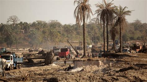 Deforestation Is Flooding West African Coasts Preventionweb