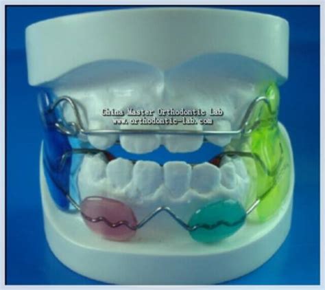 Sell China Master Orthodontic Laboratory Frankel 3id11189209 From