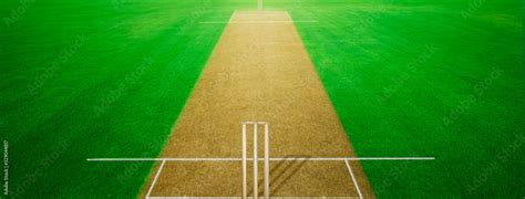 Cricket Pitch Cricket Ground Pitch Green Grass Stadium Stock Photo
