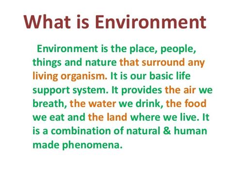 Our Natural Environment