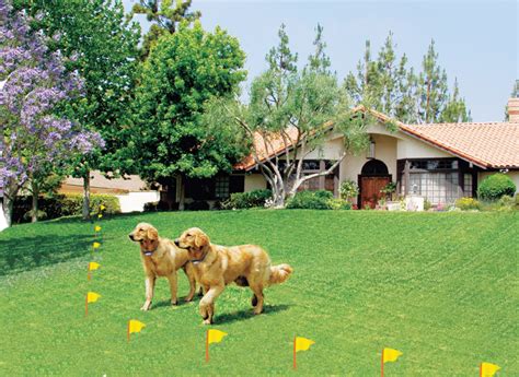 So, plan to install your wire several feet outside the areas you want your dog to access. Invisible Underground Dog Fence Installation Contractor, Sales and Service.