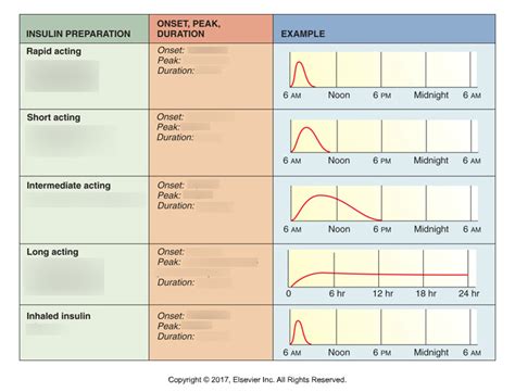 Insulin Class Type Onset Peak Duration Diagram Quizlet