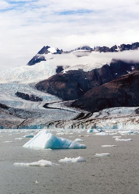 Premium Photo Floating Icebergs Pacific Ocean Aialik Bay Alaska North
