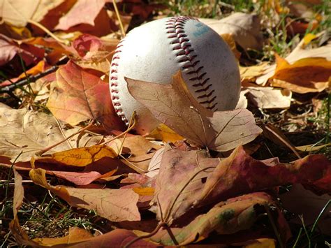 fall baseball free photo download freeimages