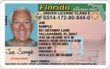 Get Fl Drivers License Online Images