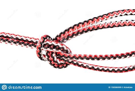 Bowline On A Bight Knot Close Up On Rope Stock Image Image Of Knotted