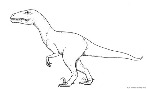 Velociraptor Dibujo Dibujos