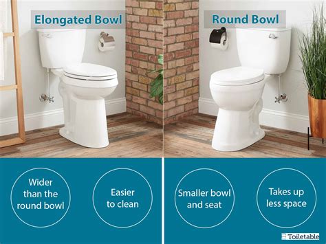Toilet Bowl Shape Comparison Guide Toiletable