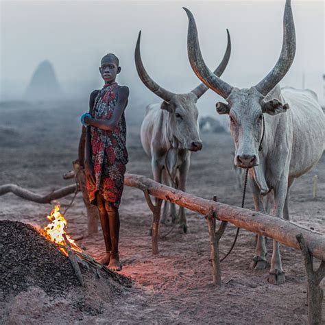 Mundari Cattle Camp Kingdom Of Smoke And Cows
