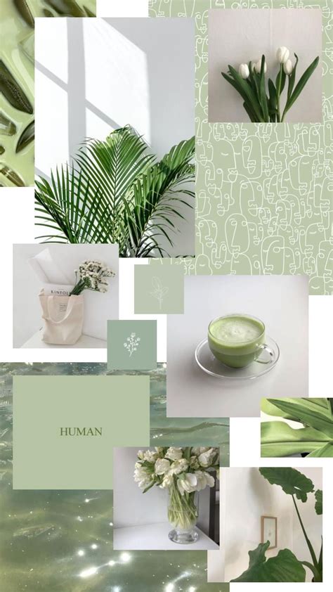 Sage Green Aesthetic Wallpapers Wallpaper Cave