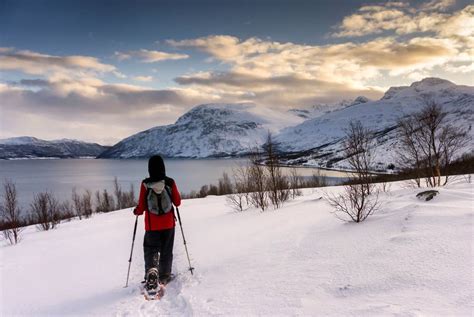 Arctic Panorama Lodge Holidays 20232024 Best Served Scandinavia