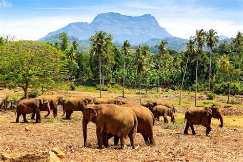 Top Adventures In Sri Lanka You Shouldnt Miss Out On