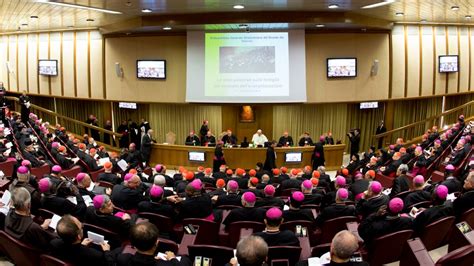 Catholic Bishops Discuss Teachings On Gays Divorce