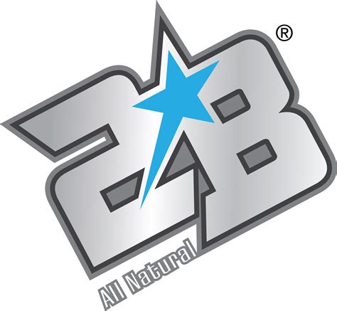 2b Logo