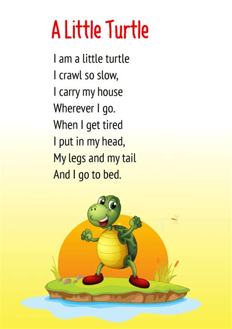 A Little Turtle Poem For Class 1 Poem On Animals In English