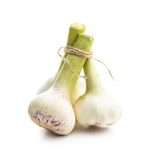 Whole Garlic Bulb Fresh White Garlic Isolated On White Background