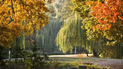 Download Wallpaper 3840x2160 Park Hungary Autumn Landscape 4k Ultra