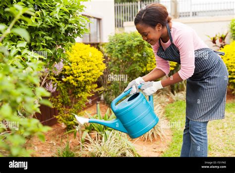 Happy Young African Woman Watering Her Garden Stock Photo Alamy