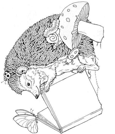 Hedgehogs Coloring Pages 23 Coloring Kids Coloring Kids
