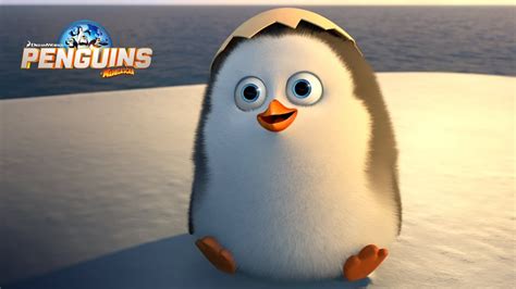 Skipper, kowalski, rico, and private, who perform various. Penguins of Madagascar | Antarctica Documentary HD | FOX ...