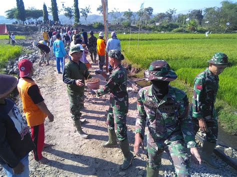 (sketsa gambar yang disusun berurutan sesuai naskah). Gambar Sketsa Gotong Royong Di Masyarakat - Contoh Sketsa Gambar